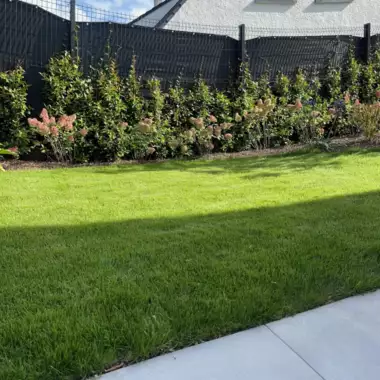 Jardin_Peters_verharding_terras_candela_deel1_22 - 