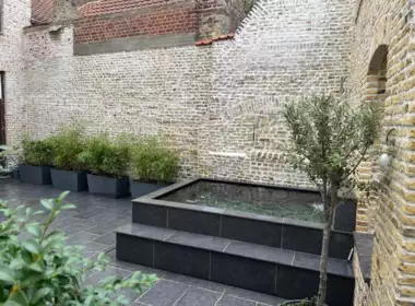 BA189590-4039-4EFE-86E9-D64CC2671A12 - 