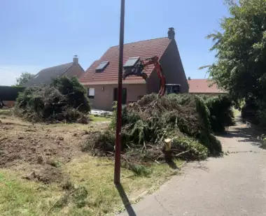 Jardin_Peters_lava_steentjes_deel2_3 - 