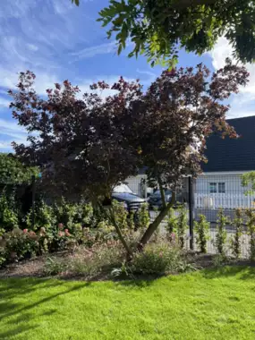 Jardin_Peters_verharding_terras_candela_deel1_21 - 