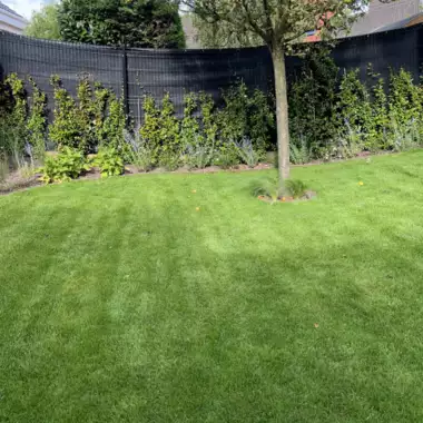 Jardin_Peters_verharding_terras_candela_deel1_33 - 